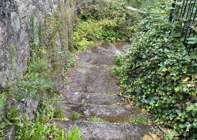 path with vegetation