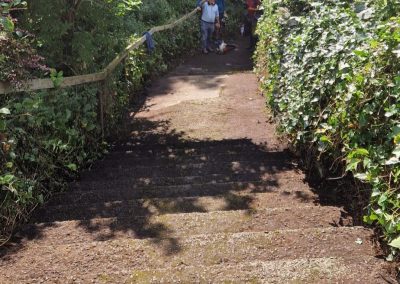Workers admiring cleared path