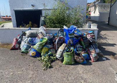 Many bags of weeds & clippings