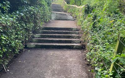 St Andrews path – cleared!