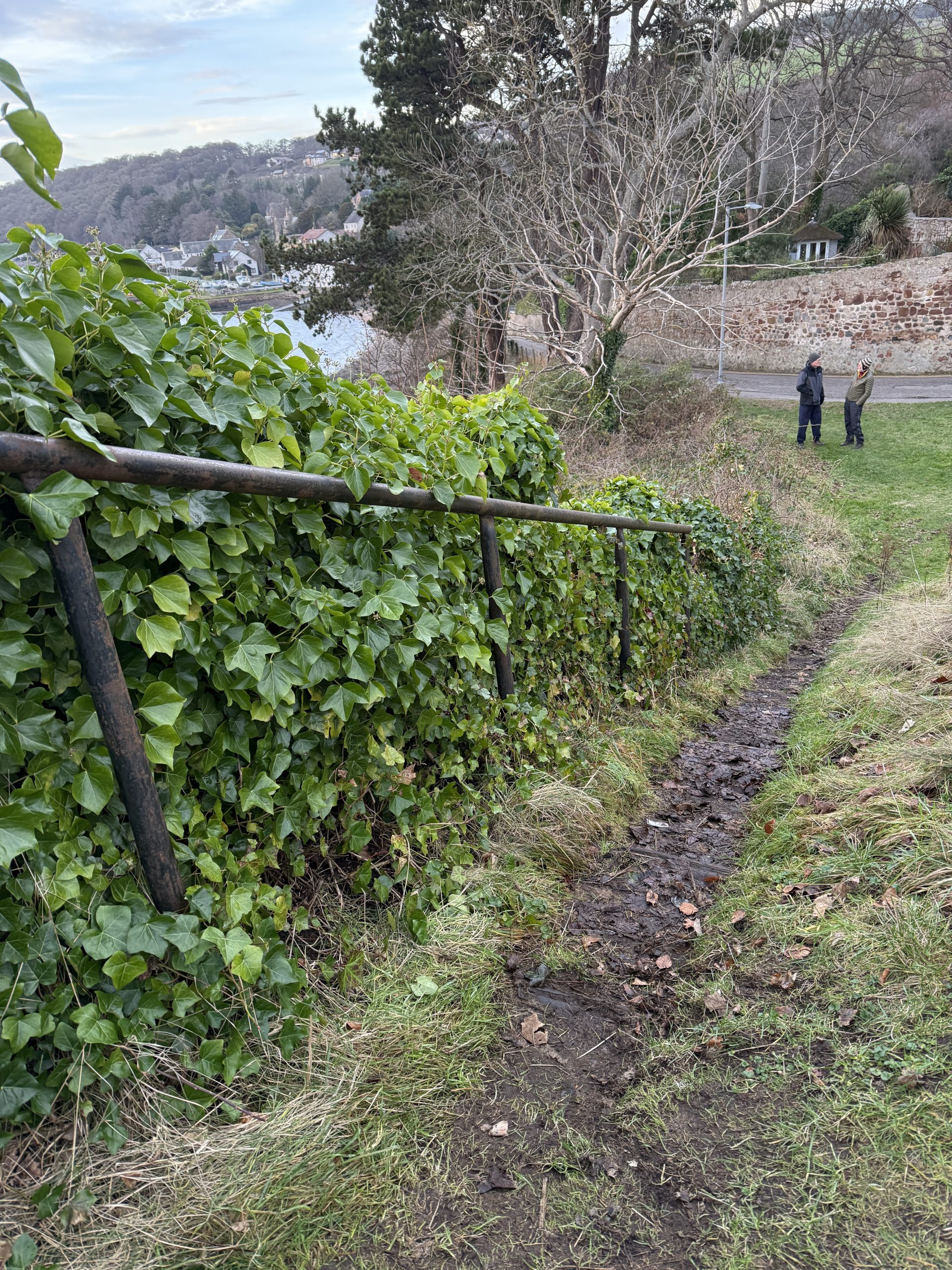 steps before renovation
