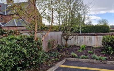 A new look for the Co-op car park